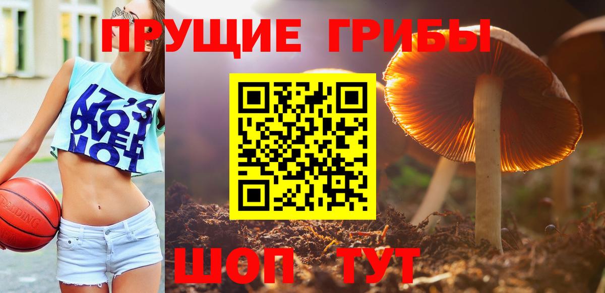 Кизляр  Псилоцибиновые грибы мицелий  Вход с VPN 